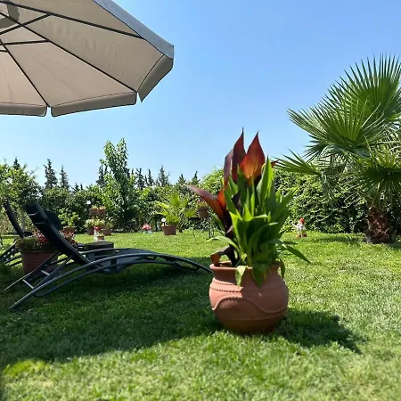 Olympus Sea View Apartment. Holiday home *