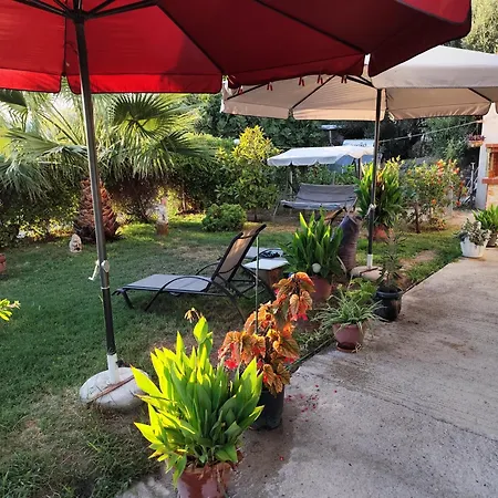 בית נופש Olympus Sea View Apartment. Nea Kallikrateia